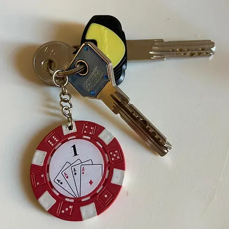 Your Vatican Terrace منزل للإقامة روما